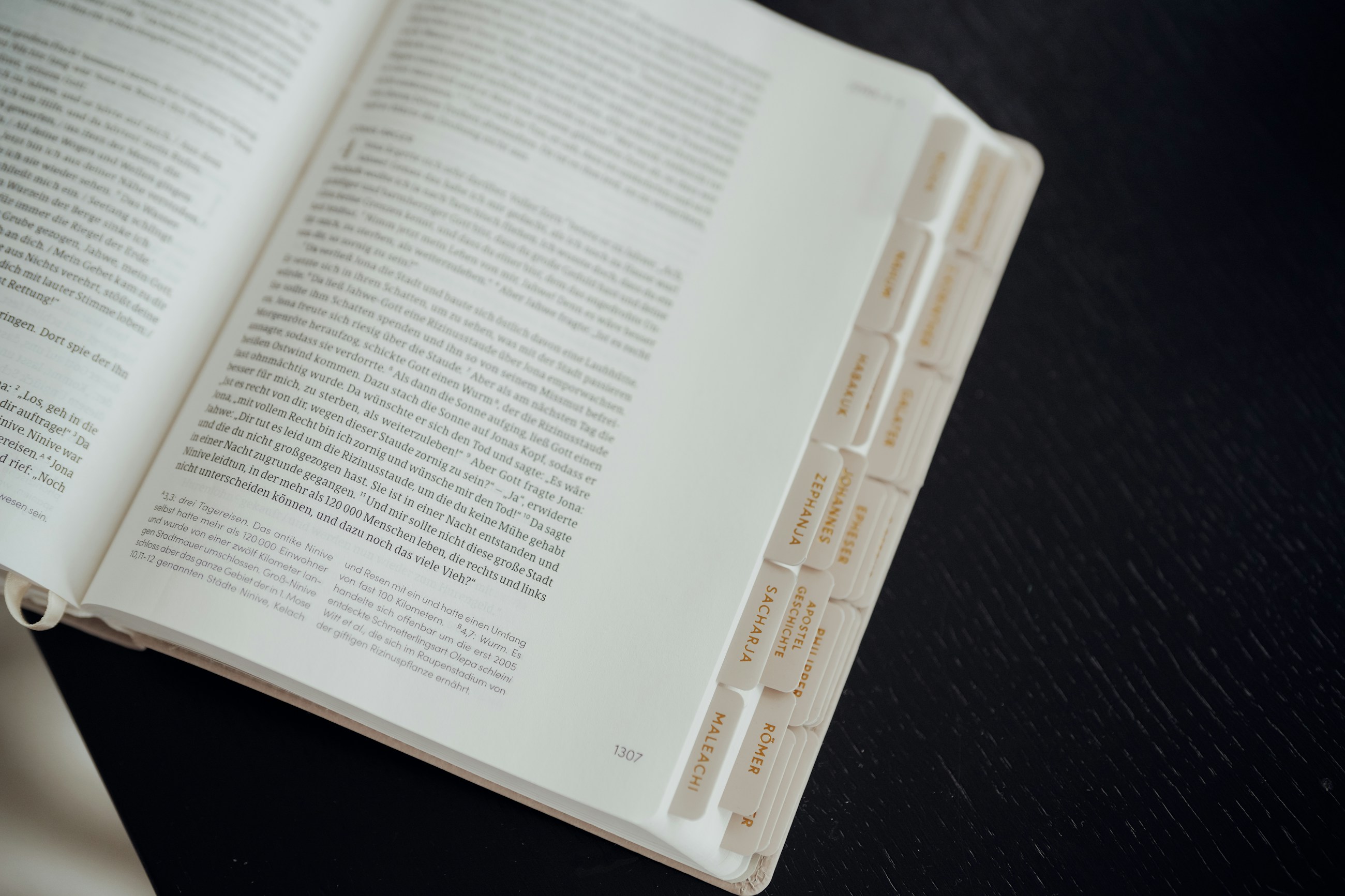 An open Bible with labelled study tabs on a dark table
